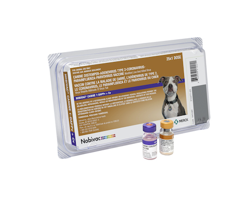 NOBIVAC K9 1-DAPPv+Cv 25/TRAY  *COLD*  exp.